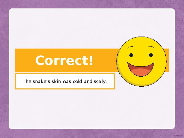 Correct! The snake’s skin was cold and scaly.