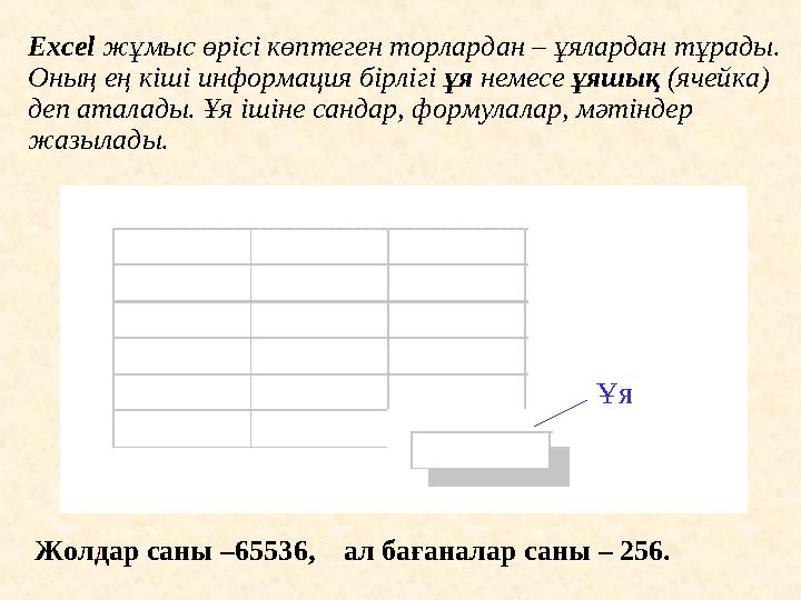 Excel жұмыс өрісі көптеген торлардан – ұялардан тұрады. Оның ең кіші информаци я бірлігі ұя немесе ұяшық (ячейка) деп