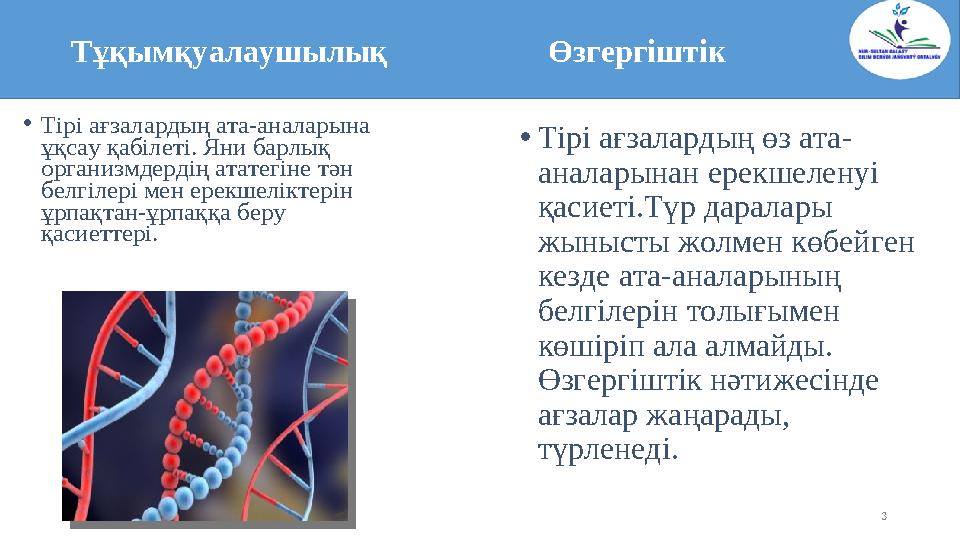 3• Тірі ағзалардың ата-аналарына ұқсау қабілеті. Яни барлық организмдердің ататегіне тән белгілері мен ерекшеліктерін ұрпақт