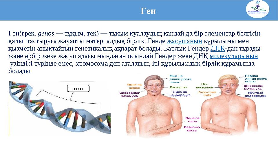 Ген(грек. genos — тұқым, тек) — тұқым қуалаудың қандай да бір элементар белгісін қалыптастыруға жауапты материалдық бірлік.