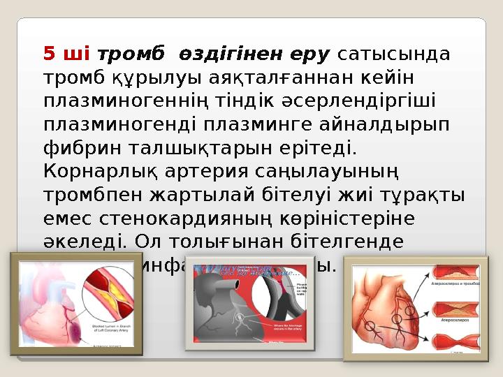 5 ші тромб өздігінен еру сатысында тромб құрылуы аяқталғаннан кейін плазминогеннің тіндік әсерлендіргіші плазминогенді