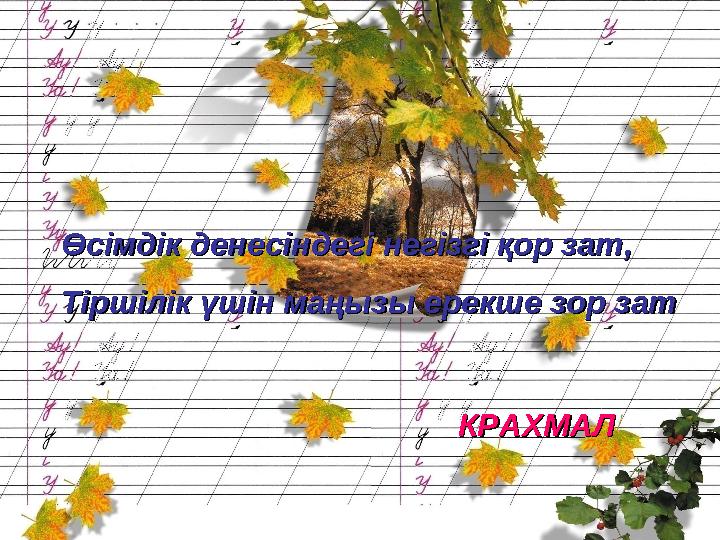 Өсімдік денесіндегі негізгі қор зат,Өсімдік денесіндегі негізгі қор зат, Тіршілік үшін маңызы ерекше зор затТіршілік үшін маң