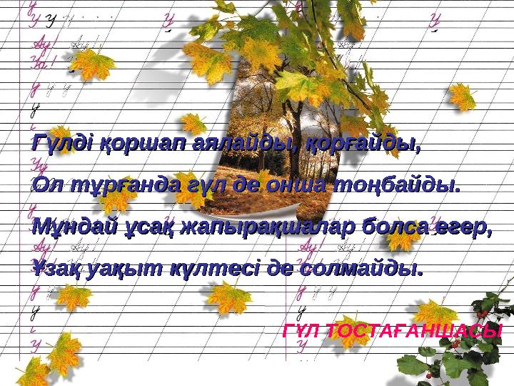 Гүлді қоршап аялайды, қорғайды,Гүлді қоршап аялайды, қорғайды, Ол тұрғанда гүл де онша тоңбайды.Ол тұрғанда гүл де онша тоңба