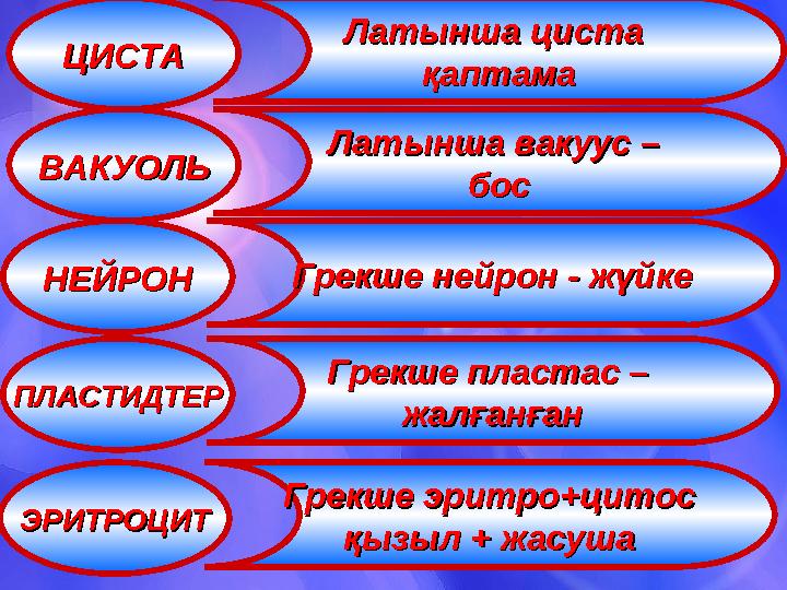 ЦИСТАЦИСТА Латынша циста Латынша циста қаптамақаптама ВАКУОЛЬВАКУОЛЬ Латынша вакуус – Латынша вакуус – босбос НЕЙРОННЕЙРОН