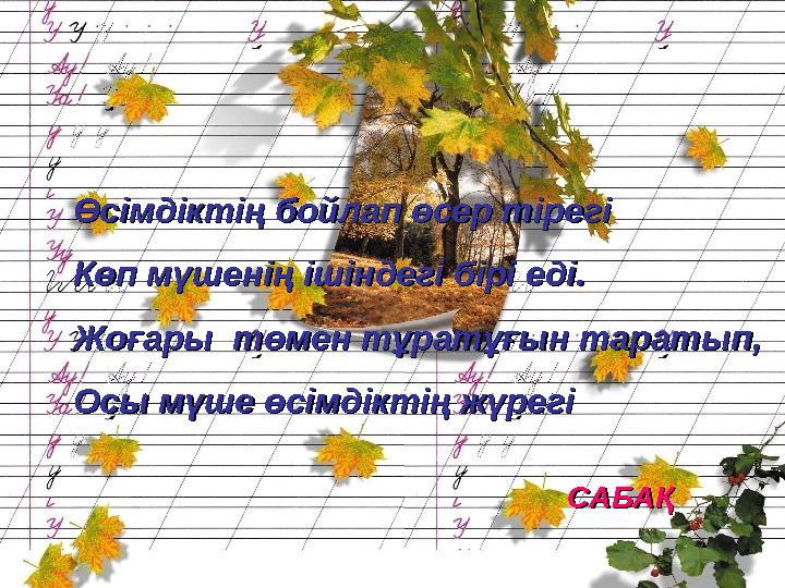 Өсімдіктің бойлап өсер тірегіӨсімдіктің бойлап өсер тірегі Көп мүшенің ішіндегі бірі еді.Көп мүшенің ішіндегі бірі еді. Жоғар