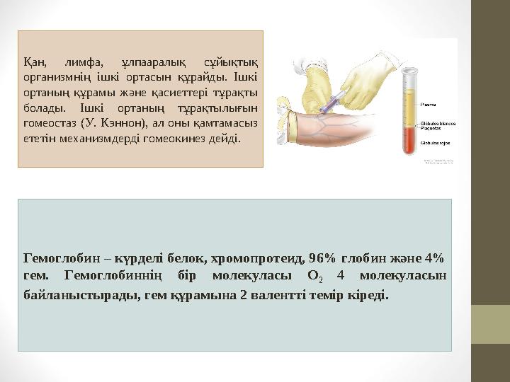 Қан, лимфа, ұлпааралық сұйықтық организмнің ішкі ортасын құрайды. Ішкі ортаның құрамы және қасиеттері тұрақты бола