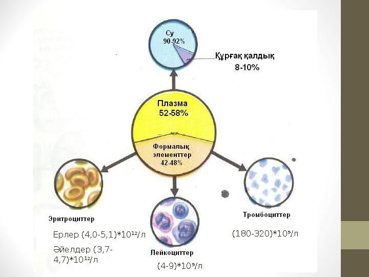 Ерлер (4,0-5,1)*10 12 /л Әйелдер (3,7- 4,7)*10 12 /л (4-9)*10 9 /л (180-320)*10 9 /л