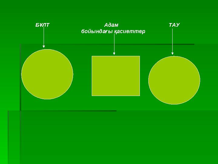 БҰЛТ Адам ТАУ бойындағы қасиеттер