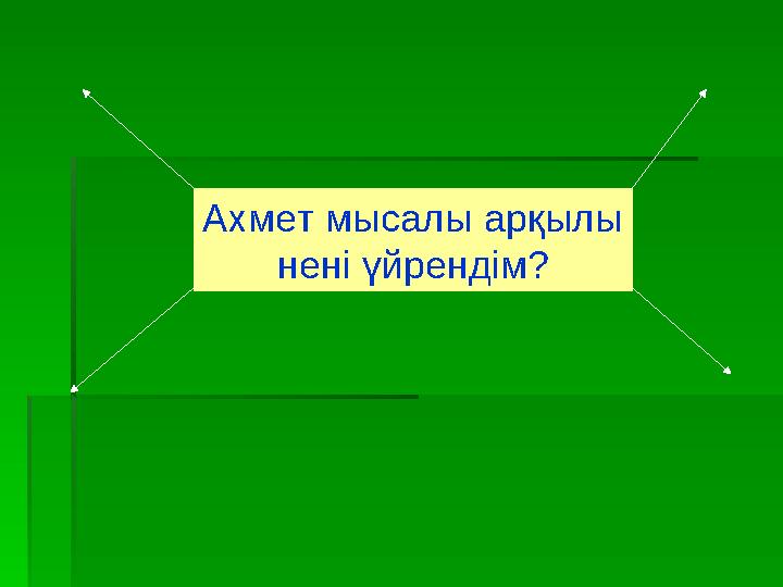 Ахмет мысалы арқылы нені үйрендім?
