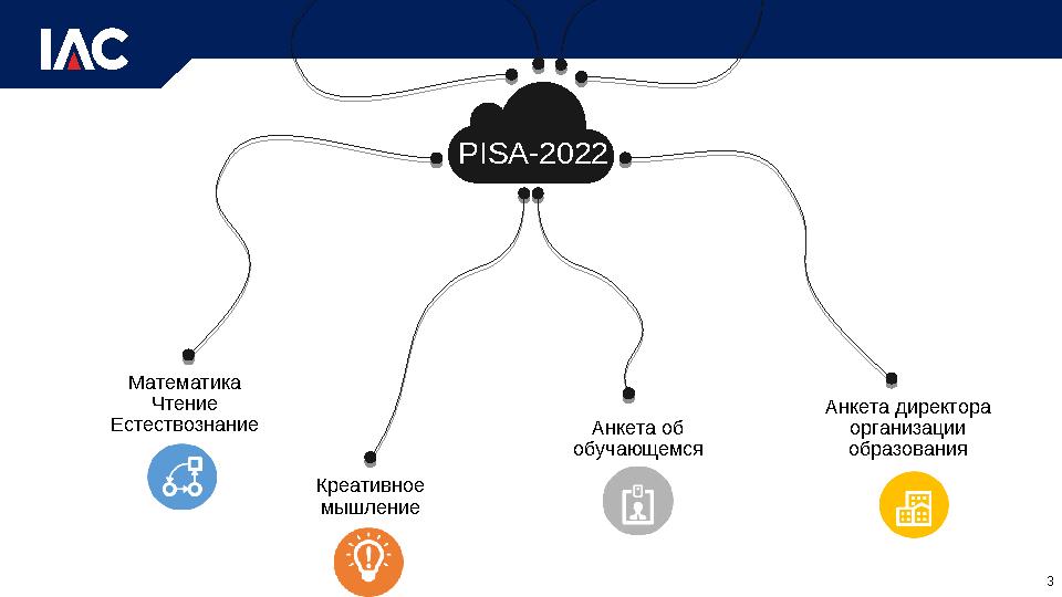 Математика Чтение Естествознание Креативное мышление Анкета об обучающемся Анкета директора организации образованияPISA-202