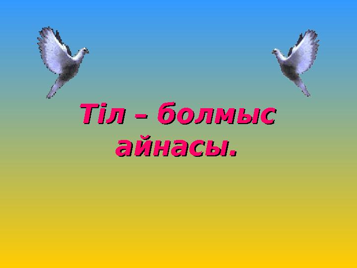 Автокөліктегі минет ұсынады Үйде жыныстық қатынасқа түсетін ересек әйелдер (бейне)