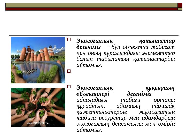 Экологиялық қатынастар дегеніміз — бұл объектісі табиғат пен оның құрамындағы элементтер болып табылатын қатынастарды айтам