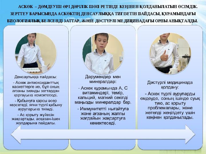 АСКӨК – ДӘМДЕУІШ ӘРІ ДӘРІЛІК ШӨП РЕТІНДЕ КЕҢІНЕН ҚОЛДАНЫЛАТЫН ӨСІМДІК. ЗЕРТТЕУ БАРЫСЫНДА АСКӨКТІҢ ДЕНСАУЛЫҚҚА ТИГІЗЕТІН ПАЙДАС АСКӨК – ДӘМДЕУІШ ӘРІ ДӘРІЛІК ШӨП РЕТІНДЕ КЕҢІНЕН ҚОЛДАНЫЛАТЫН ӨСІМДІК. ЗЕРТТЕУ БАРЫСЫНДА АСКӨКТІҢ ДЕНСАУЛЫҚҚА ТИГІЗЕТІН ПАЙДАС