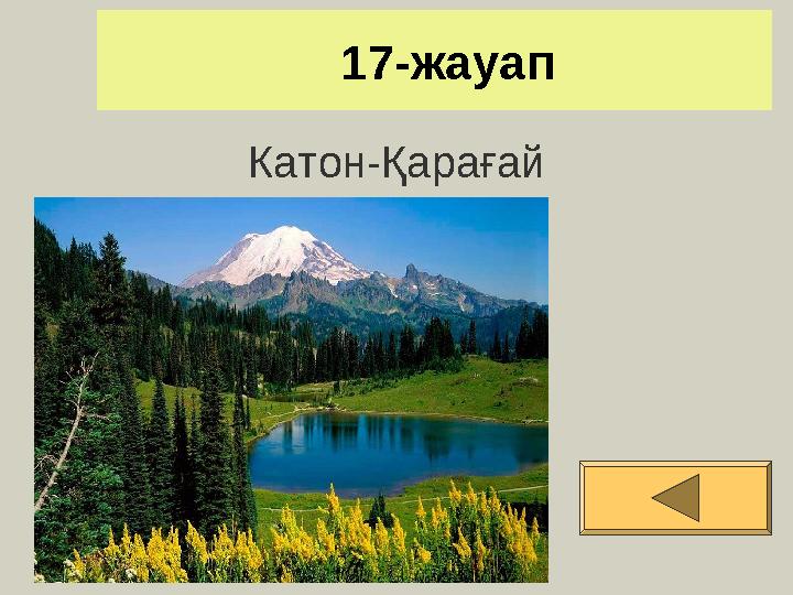 17-жауап Катон-Қарағай
