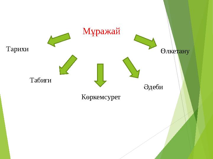Мұражай Тарихи Табиғи Көркемсурет Әдеби Өлкетану