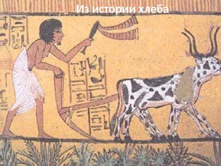 Из истории хлеба