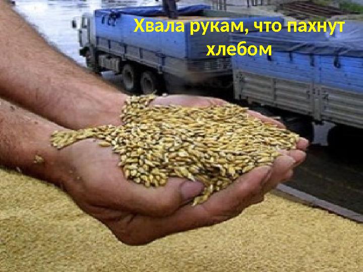 Хвала рукам, что пахнут хлебом