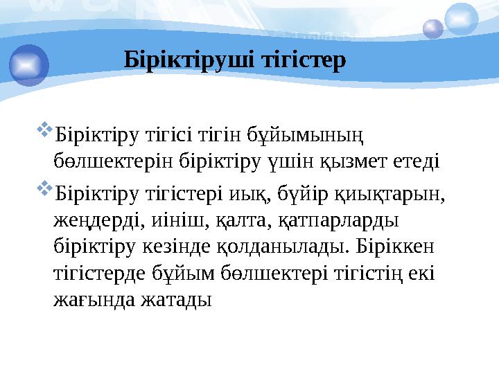 Біріктіруші тігістер Біріктіру тігісі тігін бұйымының бөлшектерін біріктіру үшін қызмет етеді Біріктіру тігістері иық, бүй