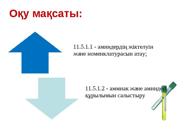 Оқу мақсаты: 11.5.1.1 - аминдердің жіктелуін және номенклатурасын атау; 11.5.1.2 - аммиак және аминдер құрылымын салыстыру