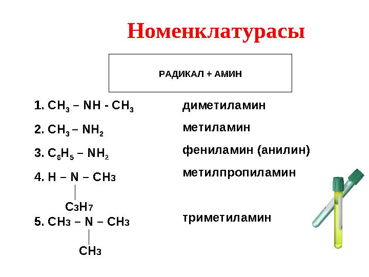 Номенклатурасы РАДИКАЛ + АМИН 1. СН 3 – NН - СН 3 2. СН 3 – NН 2 3. С 6 Н 5 – NН 2 4. H – N – CH3 │