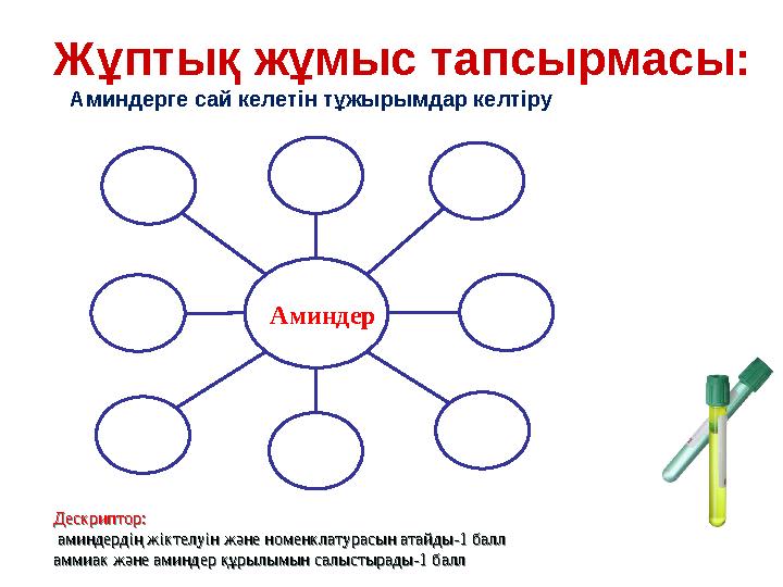 Жұптық жұмыс тапсырмасы: Аминдерге сай келетін тұжырымдар келтіру Аминдер Дескриптор: аминдердің жіктелуін және номенклат