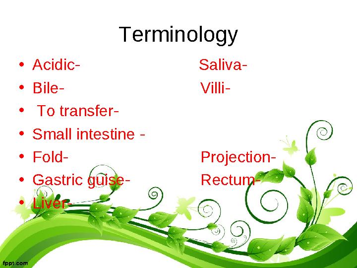 Terminology •Acidic- Saliva- •Bile- Villi- • To transfer- •S
