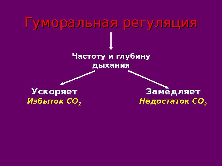 Гуморальная регуляцияГуморальная регуляция Частоту и глубину дыхания Ускоряет Избыток СО 2 Замедляет Недостаток СО 2