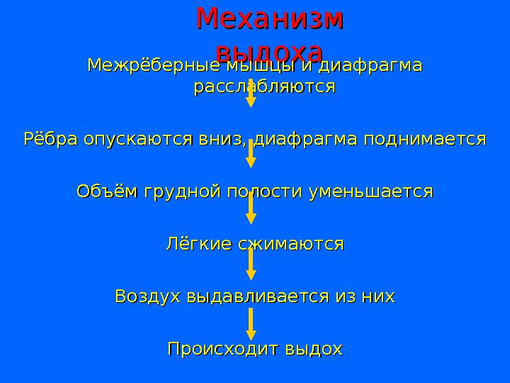 Механизм Механизм выдохавыдоха Межрёберные мышцы и диафрагма Межрёберные мышцы и диафрагма расслабляютсярасслабляются Рёбра оп