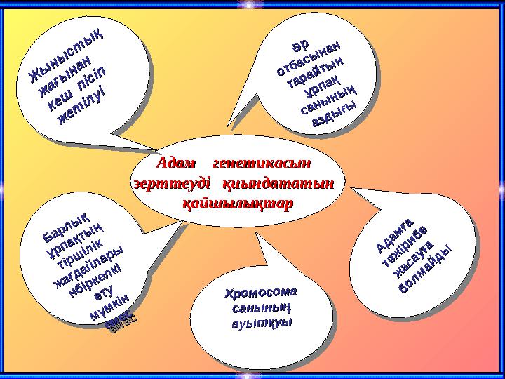Адам генетикасын Адам генетикасын зерттеуді қиындататын зерттеуді қиындататын қайшылықтарқайшылықтар Ж ы ны ст ы