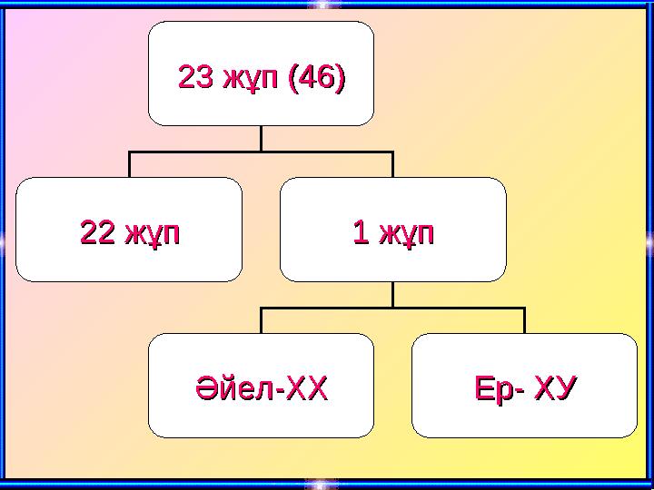 23 23 жұп (46)жұп (46) 22 жұп22 жұп 1 жұп1 жұп Әйел-ХХӘйел-ХХ Е