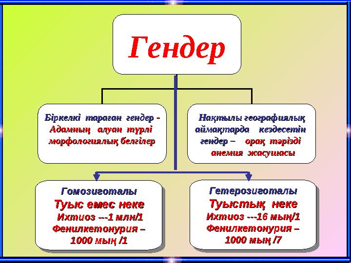 Гендер Біркелкі тараған гендерБіркелкі тараған ген
