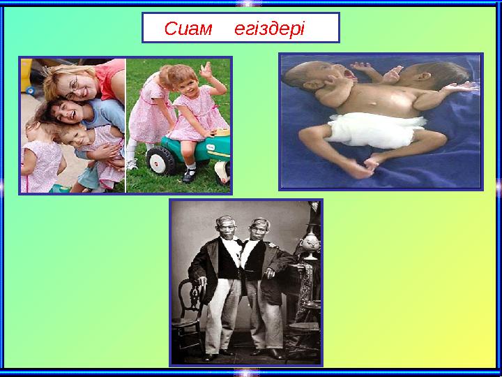 Сиам егіздері