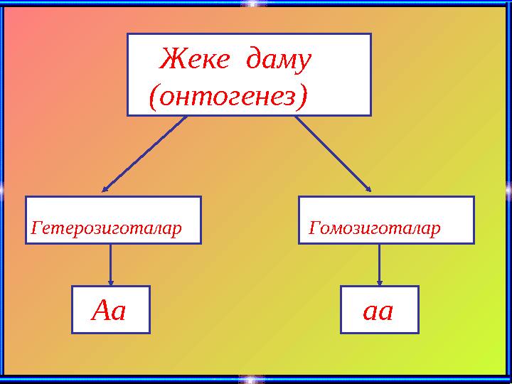 Жеке даму (онтогенез) Гетерозиготалар Гомозиготалар