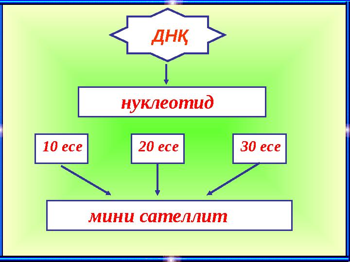 ДНҚ нуклеотид 10 есе 20 есе 30 есе мини сателлит