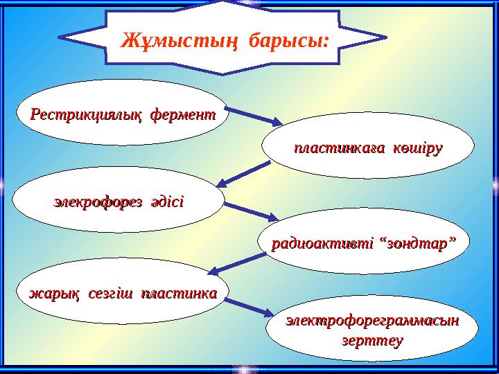 Рестрикциялық ферментРестрикциялық фермент Жұмыстың барысы: пластинкаға көшірупластинкаға көшіру радиоактивті “зондтар”ра