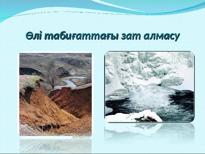 Өлі табиғаттағы зат алмасуӨлі табиғаттағы зат алмасу