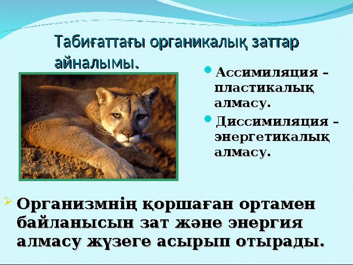 Табиғаттағы органикалық заттар Табиғаттағы органикалық заттар айналымыайналымы.. Ассимиляция –Ассимиляция – пластикалық пласти