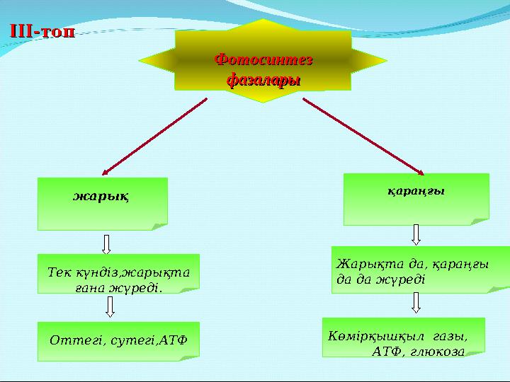 ФотосинтезФотосинтез фазаларыфазалары жарық қараңғы Тек күндіз,жарықта ғана жүреді. Жарықта да, қараңғы да да жүреді ІІІ-топ