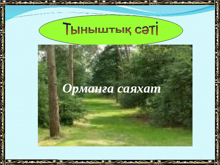 Орманға саяхат