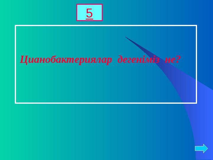 Цианобактериялар дегеніміз не? 5