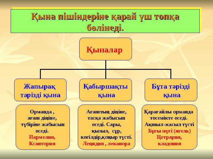 Қына пішіндеріне қарай үш топқа Қына пішіндеріне қарай үш топқа бөлінеді.бөлінеді. Қына пішіндеріне қарай үш топқа Қына пішінде