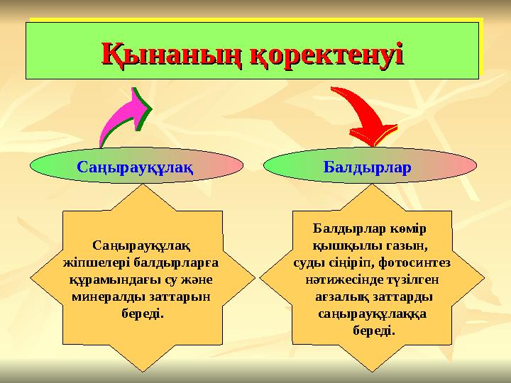 Қынаның қоректенуіҚынаның қоректенуіҚынаның қоректенуіҚынаның қоректенуі Саңырауқұлақ жіпшелері балдырларға құрамындағы су жән