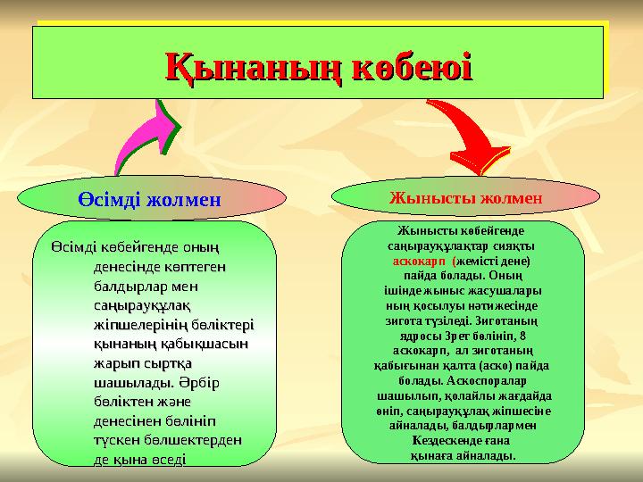 Қынаның көбеюіҚынаның көбеюіҚынаның көбеюіҚынаның көбеюі Өсімді жолмен Жынысты жолмен Өсімді көбейгенде оның Өсімді көбейгенде