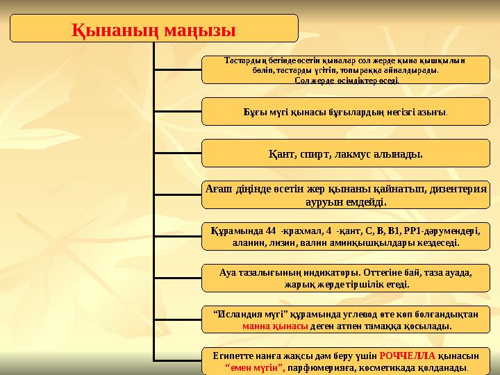 Қынаның маңызы Тастардың бетінде өсетін қыналар сол жерде қына қышқылын бөліп, тастарды үгітіп, топыраққа айналдырады. Сол жер