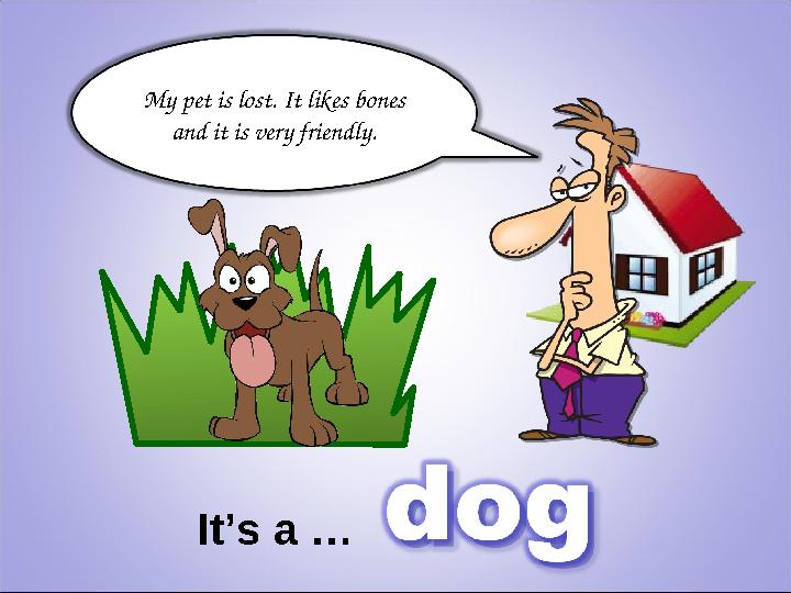 My pet is lost. It likes bones and it is very friendly. It’s a …