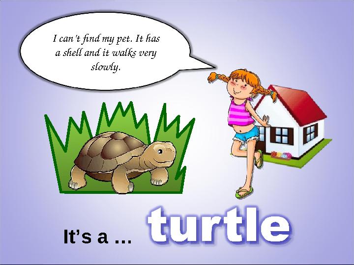 I can’t find my pet. It has a shell and it walks very slowly. It’s a …