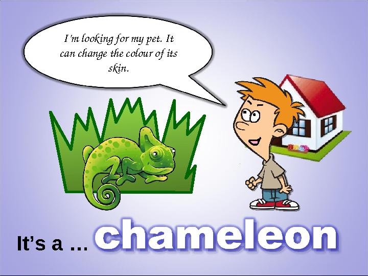 I’m looking for my pet. It can change the colour of its skin. It’s a …