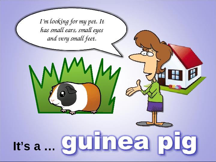 I’m looking for my pet. It has small ears, small eyes and very small feet. It’s a …