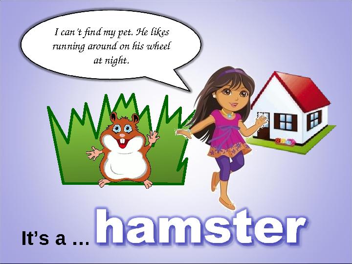 I can’t find my pet. He likes running around on his wheel at night. It’s a …