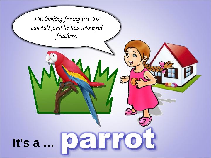 I’m looking for my pet. He can talk and he has colourful feathers. It’s a …